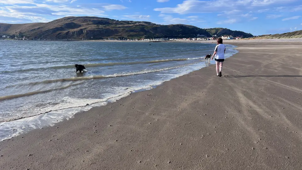Walking two dogs along the edge of the sea on a wide sandy beach, with a headland and the town behind